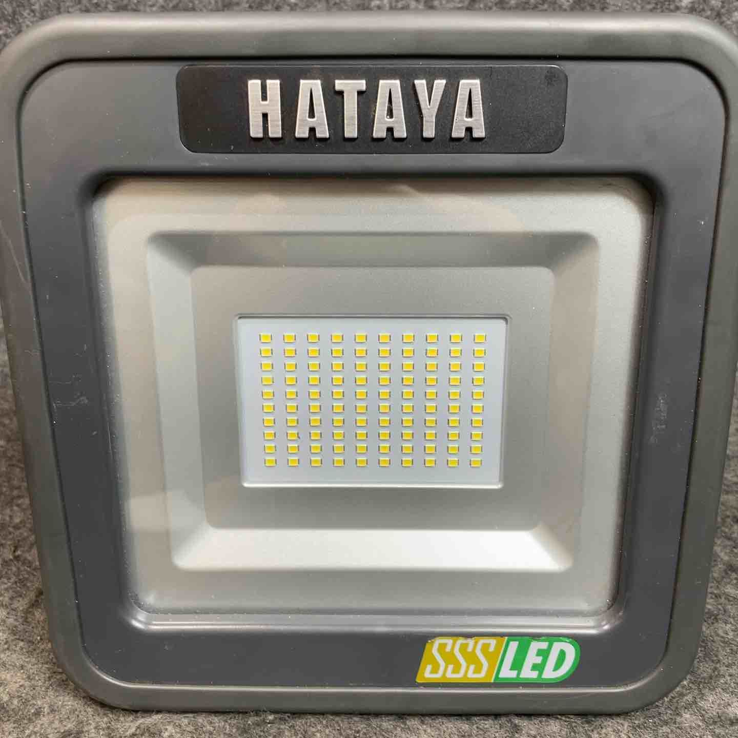 インテリア・生活道具 ハタヤ(HATAYA) 充電式LED投光器 明るさ2500