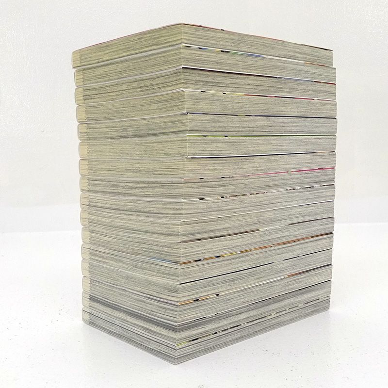 三重店】やんちゃギャルの安城さん 1～16巻（加藤雄一/少年画報社