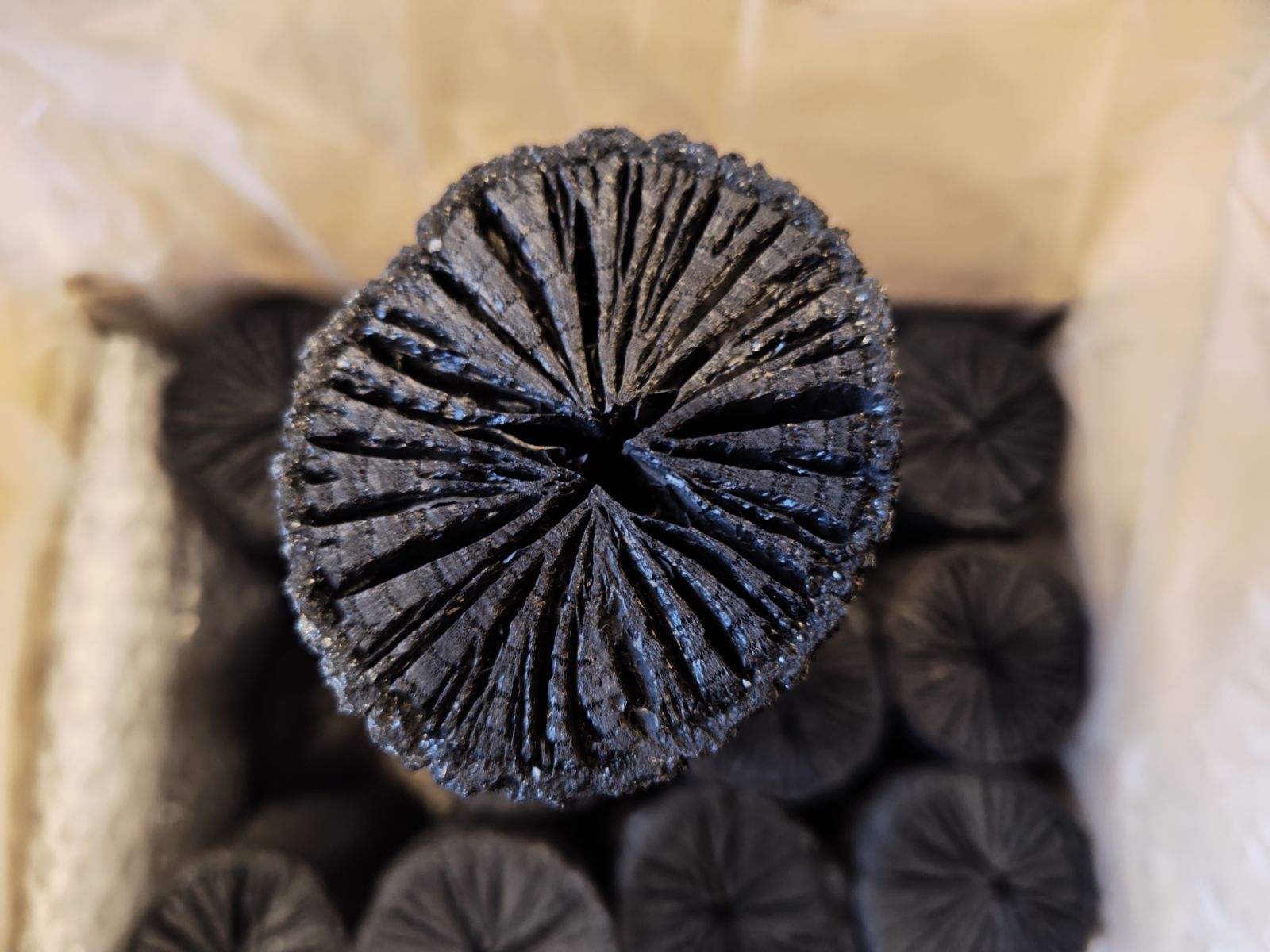 逢絢亭・新品】茶の湯炭 胴炭のみ 炉用 くぬぎ炭 椚炭 上質なくぬぎ炭