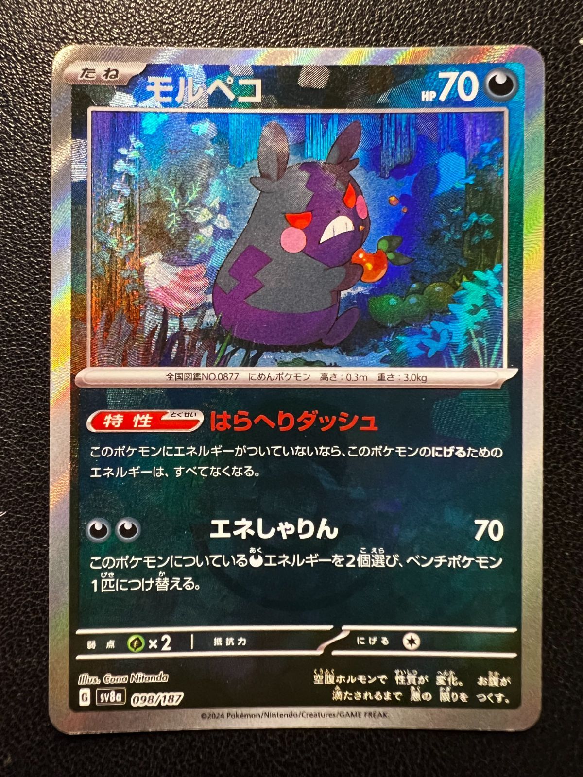 モルペコ :モンスターボールミラー 2枚 [SV8a 098/187](「テラスタル