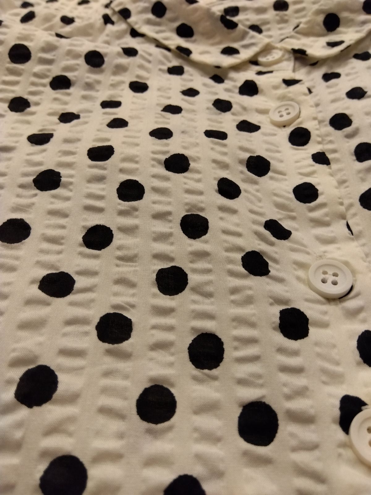 M24 ルクルカ Lucruca【美品】センソユニコ コットン100％サッカー生地