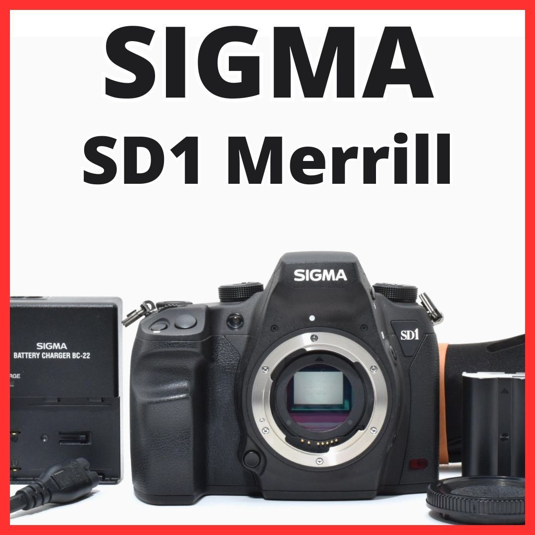 B24[7371A]66☆新品級☆ シグマ SIGMA SD1 Merrill ボディ - メルカリ