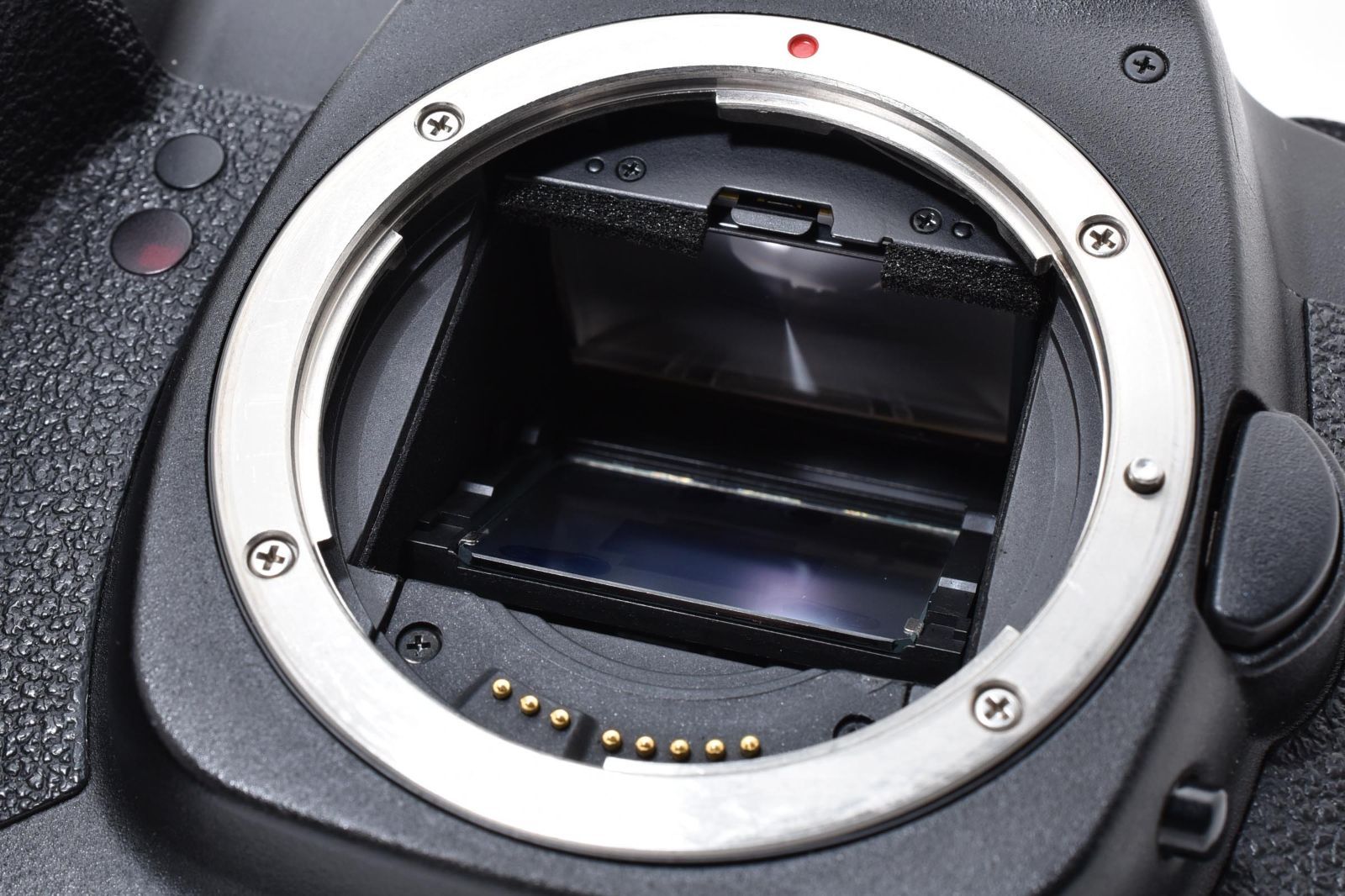 B24[7404] キヤノン Canon EOS 5D Mark II ボディ - メルカリ