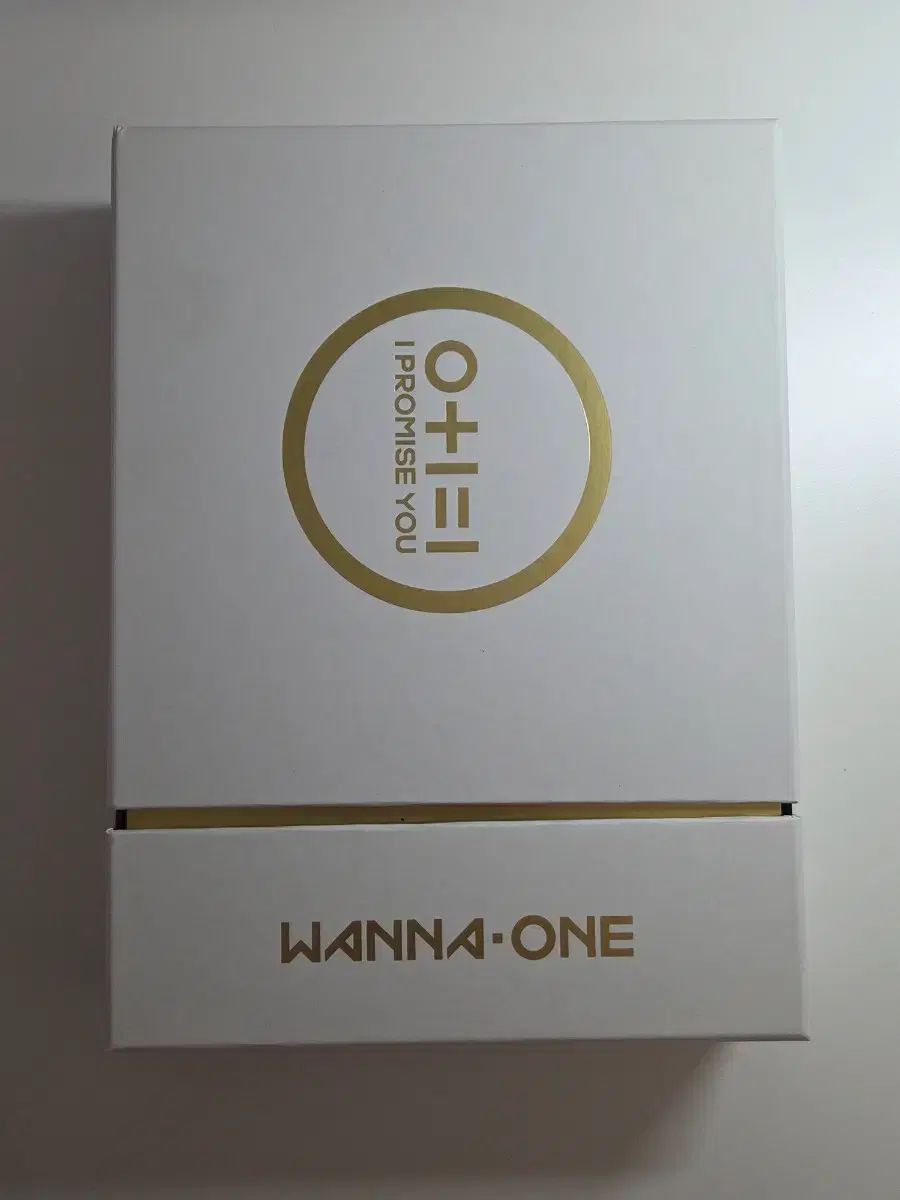 Wanna One（ワナワン） I PROMISE YOU 限定モデル キット（証明写真