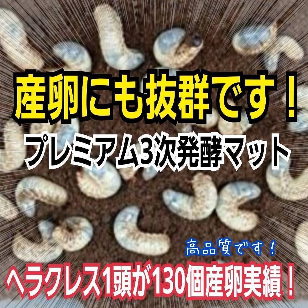 ヘラクレスがギネス級に！プレミアム3次発酵マット【50L】特殊アミノ酸強化配合！ ヘラクレスがギネス級に！プレミアム3次発酵マット【50L】特殊アミノ酸
