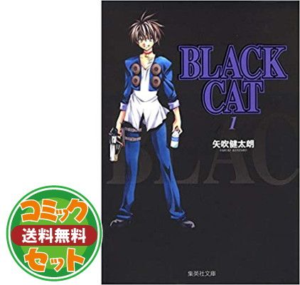 セット】BLACK CAT 文庫版 コミック 全12巻完結セット 矢吹 健太朗