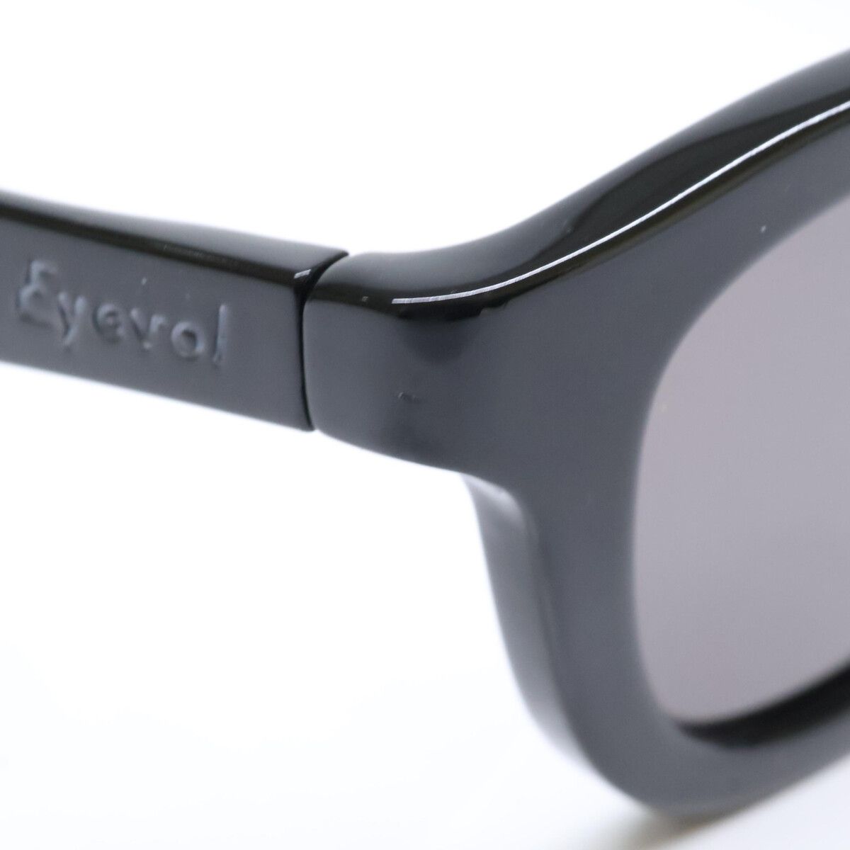 Eyevol アイヴォル RYS BK-FG-IBM ウェリントンシェイプ 48□24-134