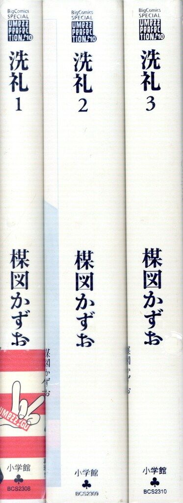 小学館 UMEZZ PERFECTiON10 楳図かずお 洗礼 全3巻 セット - メルカリ