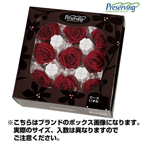 新品 大地農園 プリザーブドフラワー ローズ・かのん・m シャーベット
