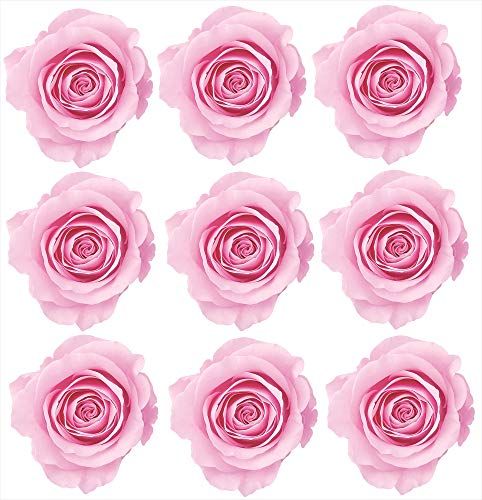 新品 大地農園 プリザーブドフラワー ローズ・かのん・m シャーベット