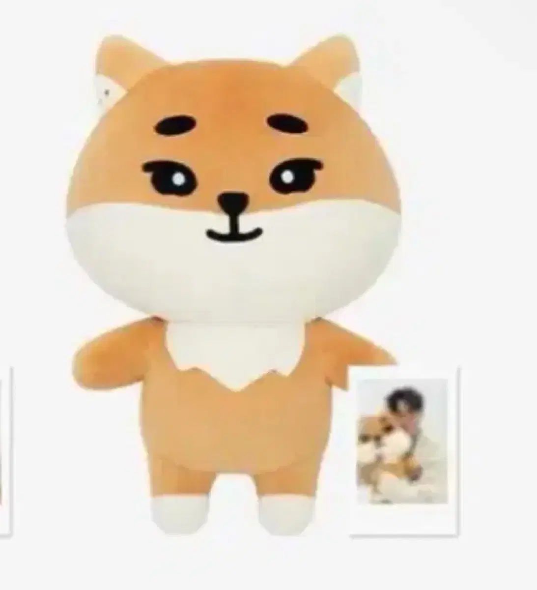 ポラロイド含む未開封 ジャイアント デニマルズ(DENIMALZ) ケイ(K