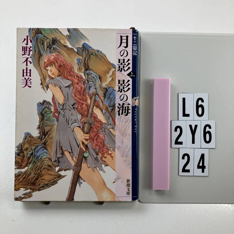 月の影 影の海 (上) 十二国記 1 (新潮文庫) 文庫 ? 2012/6/27 小野