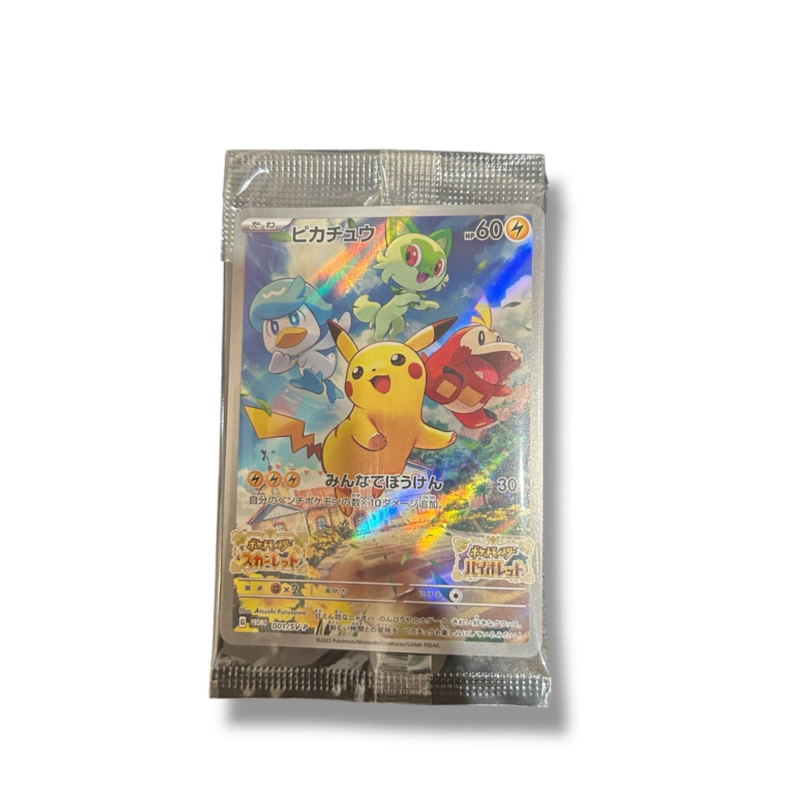 Nintendo Switch ソフト(パッケージ版) ポケットモンスター