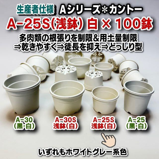 生産者仕様＊カントーAシリーズプラ鉢＊A-25S(浅鉢/浅型)×100鉢セット