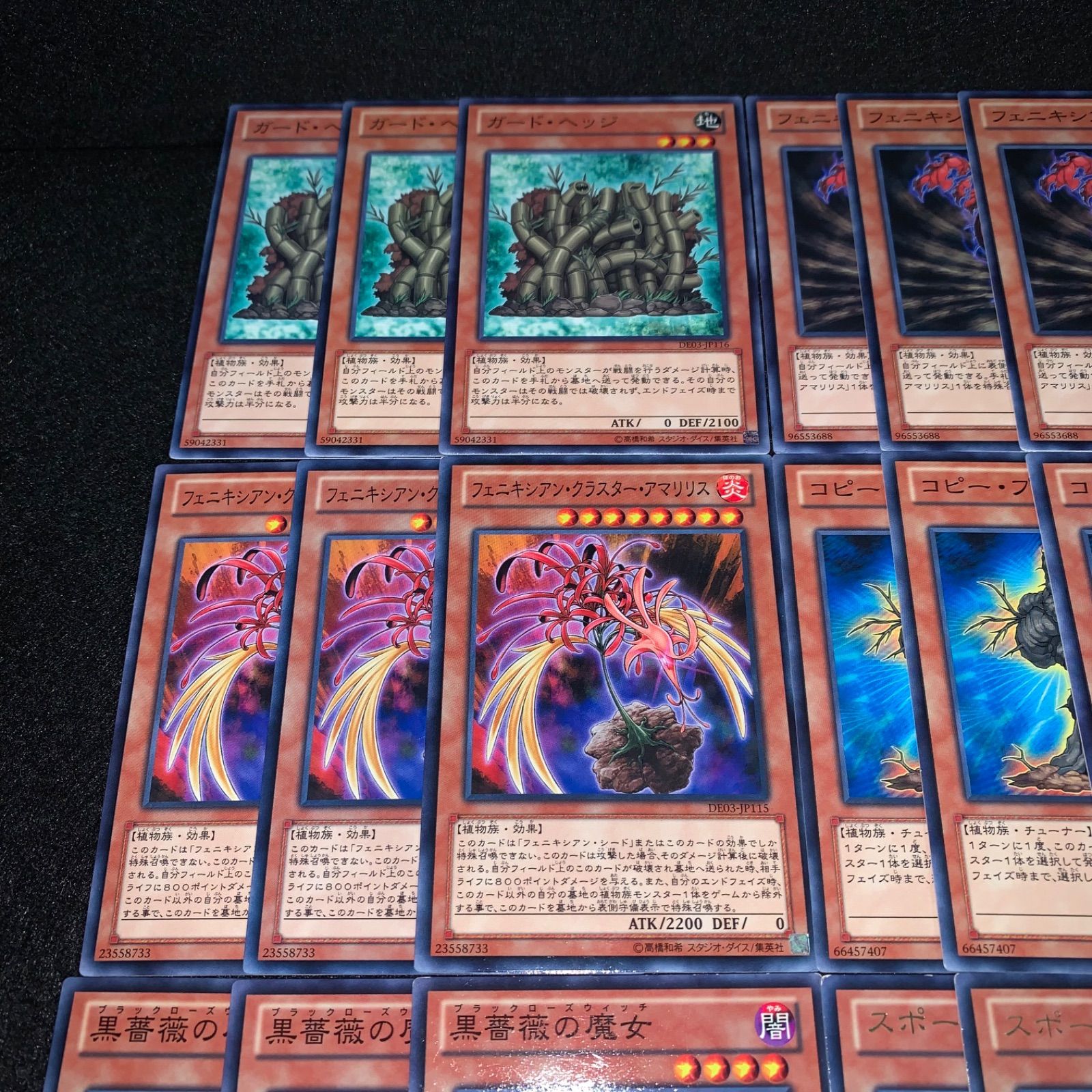 遊戯王 KY659 ガードヘッジ フェニキシアンシード フェニキシアン