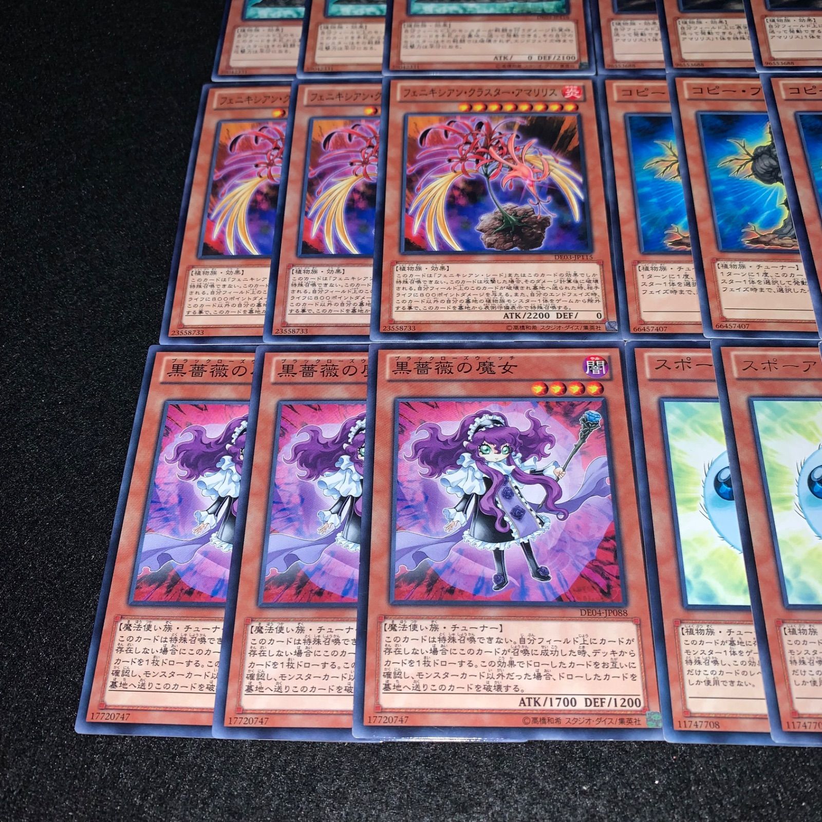 遊戯王 KY659 ガードヘッジ フェニキシアンシード フェニキシアン