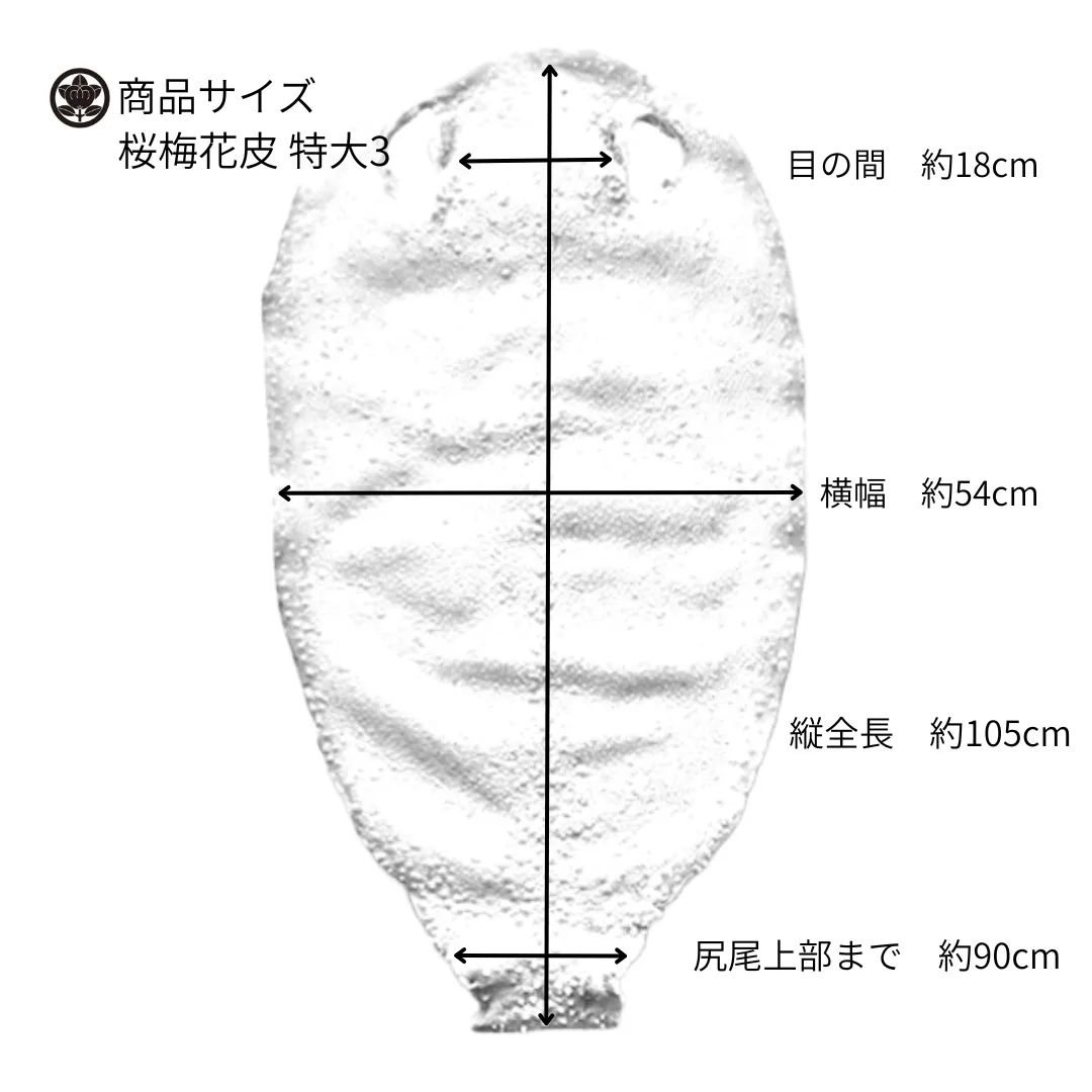 梅花皮 特大3 鮫胴 鮫鞘 鮫皮 エイ革 カイラギ イバラエイ - メルカリ