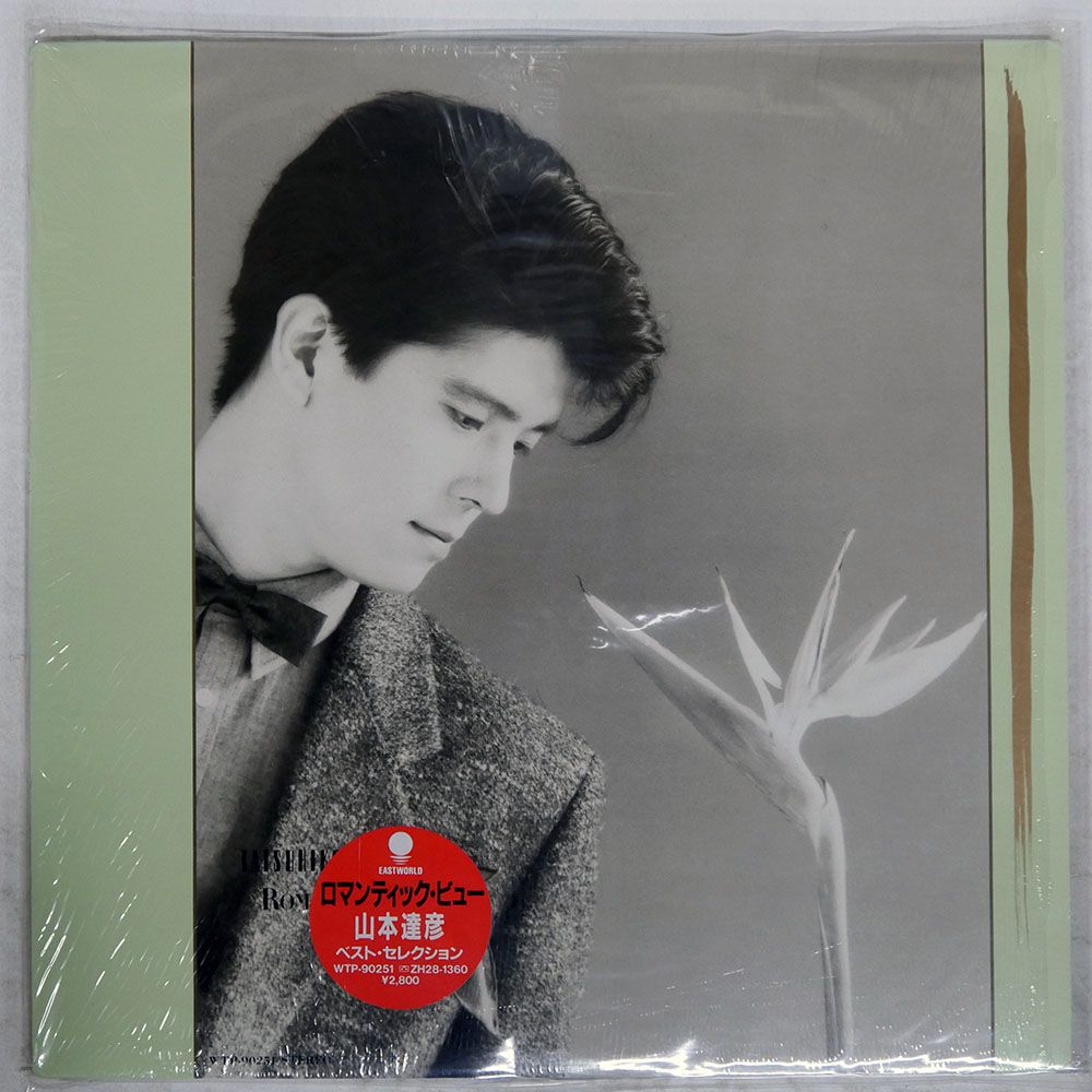 国内盤 山本達彦/ロマンティックビュー/EASTWORLD WTP90251 LP - メルカリ