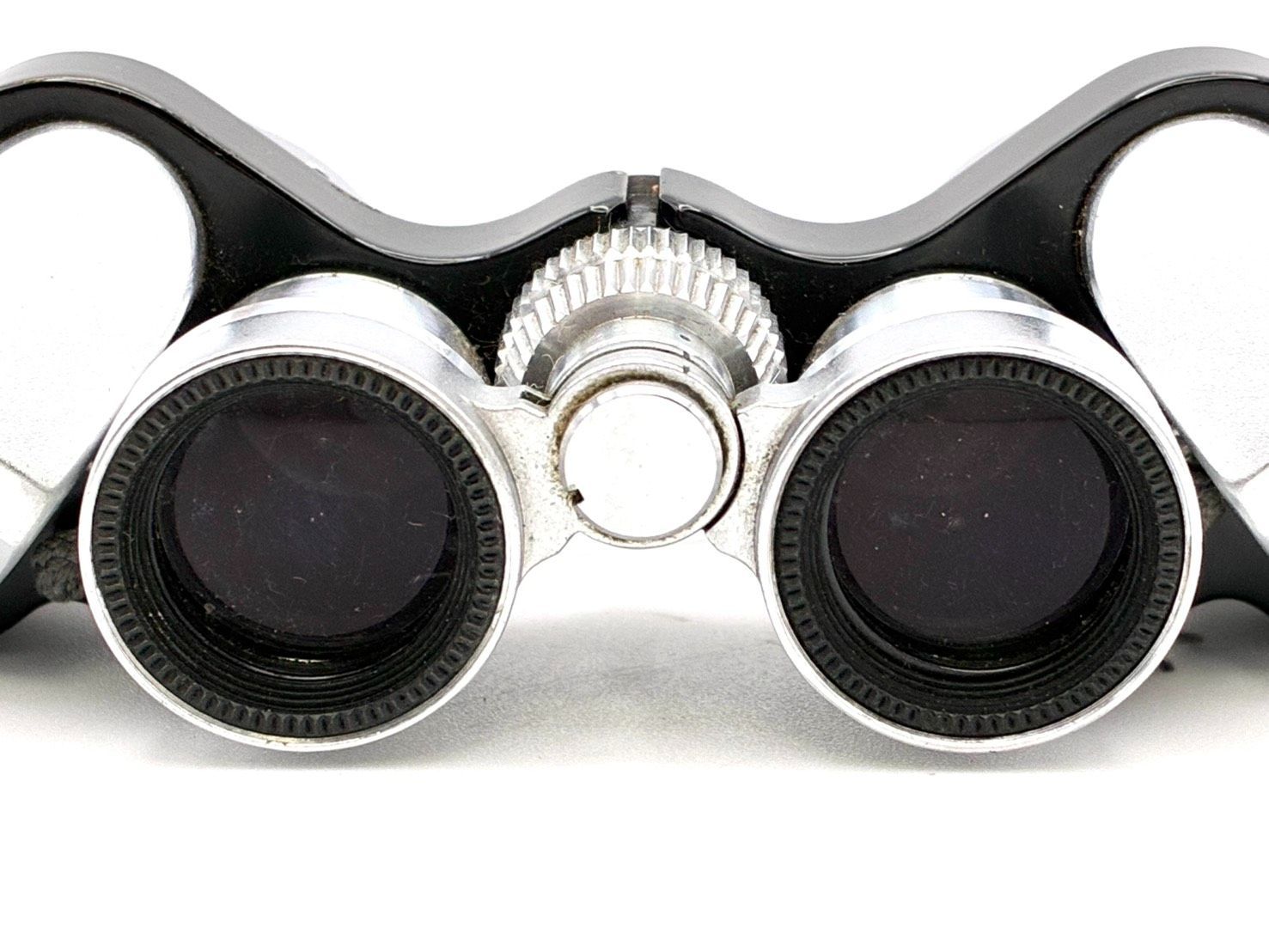 動作確認済 希少】外観美品 Nikon 双眼鏡 6×15 8.3° Mikron ミクロン