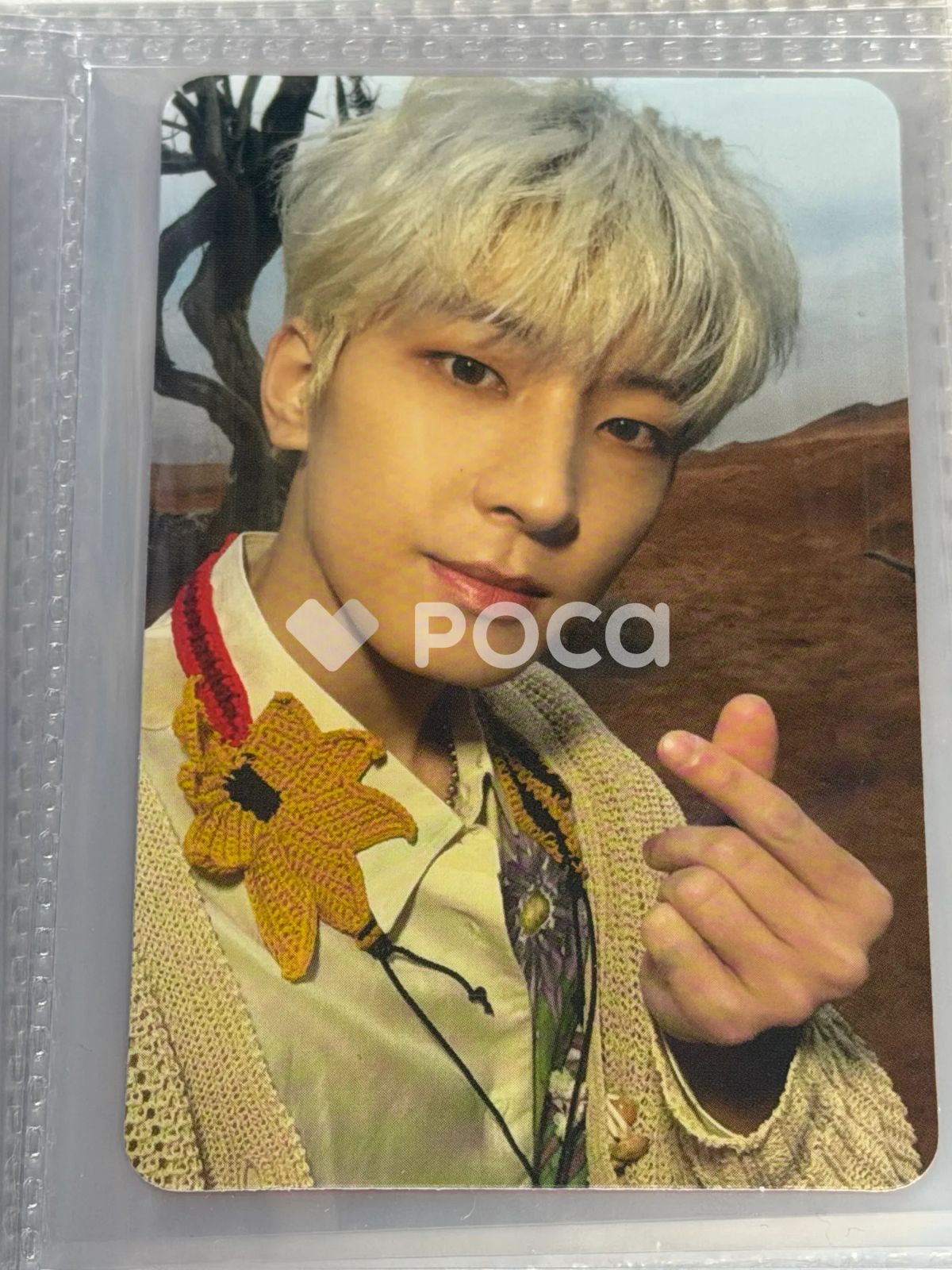 Seventeen セブチ ウォヌ Face the Sun ep.3 Ray Ver. - メルカリ