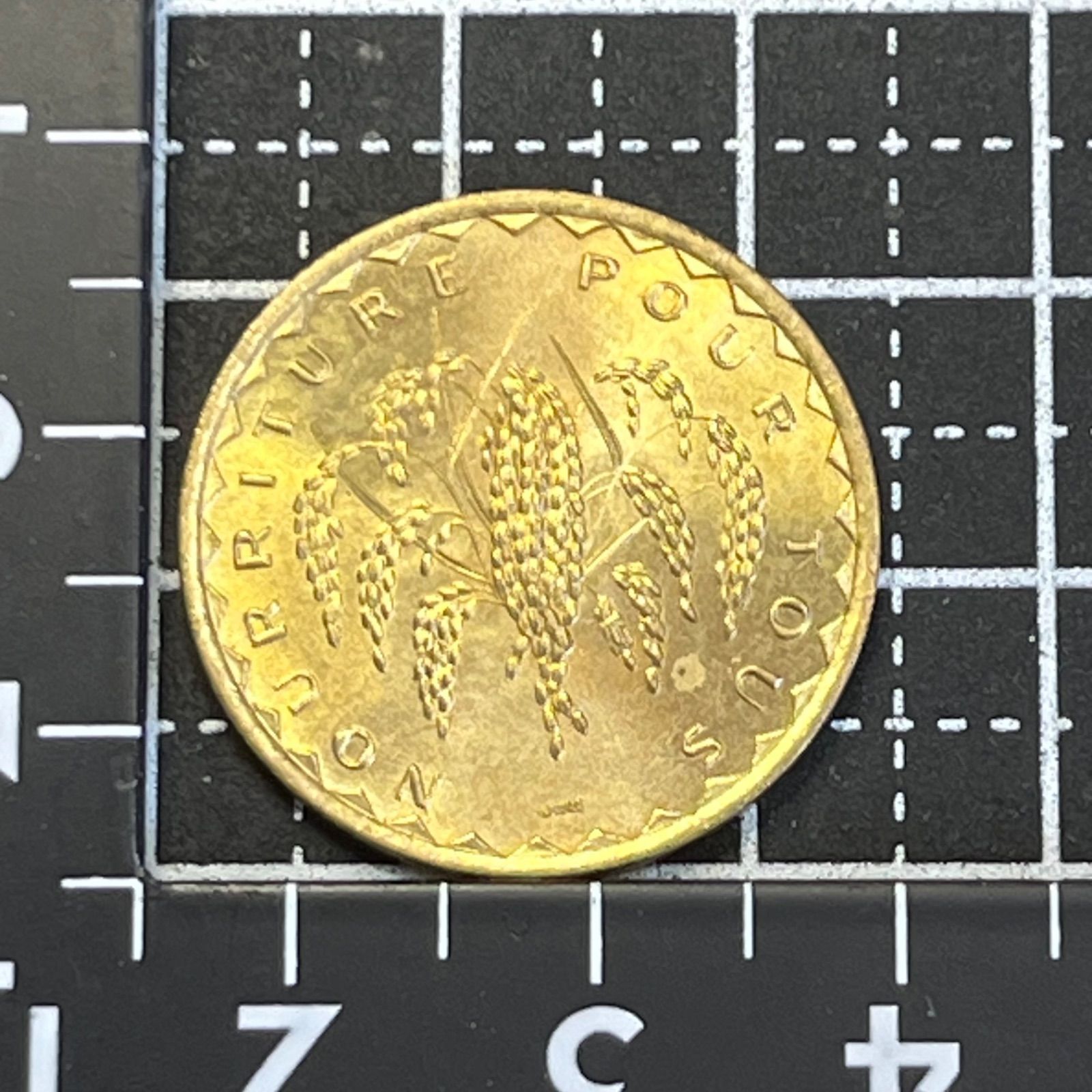 FAO記念】1977年 マリ共和国 50フラン／食糧自給テーマ・ニッケル黄銅