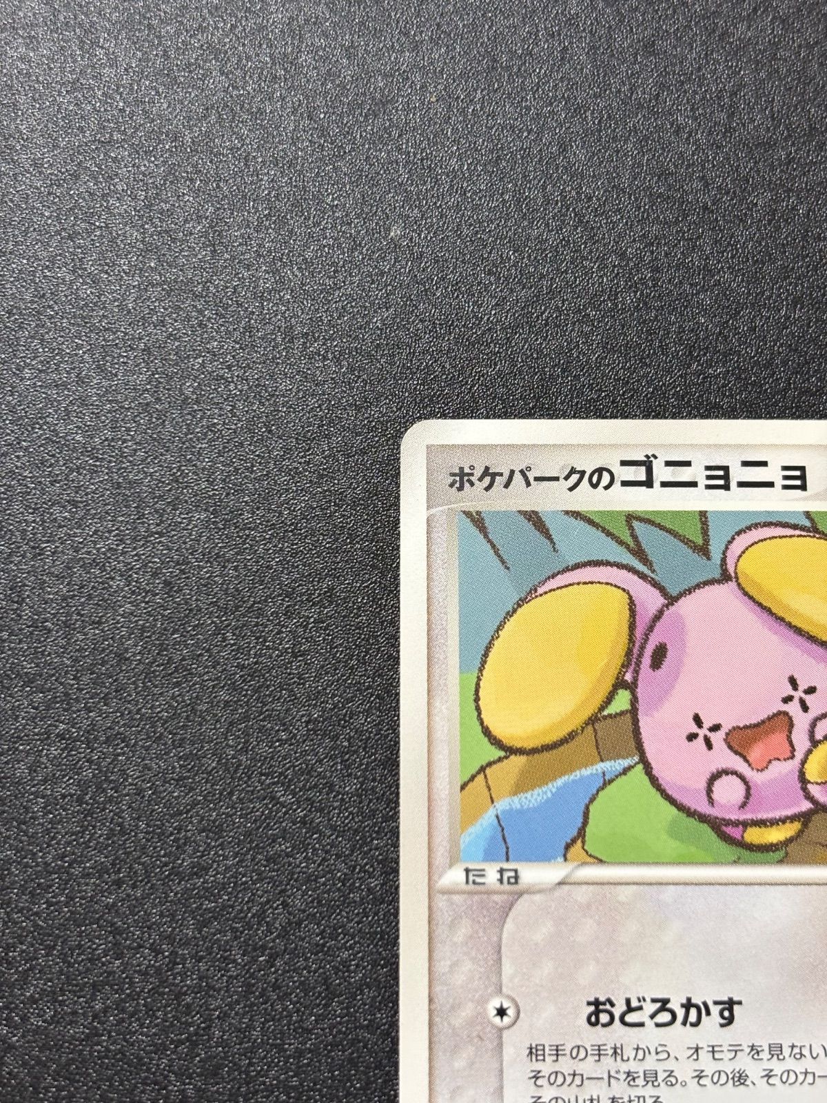 ポケパークのゴニョニョ プレミアムファイル - メルカリ