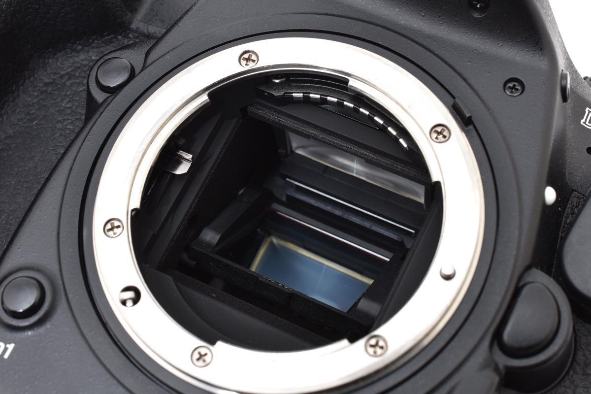 ショット数27850回 美品 Nikon D500 ボディ 充電器付き ARYM5497#759