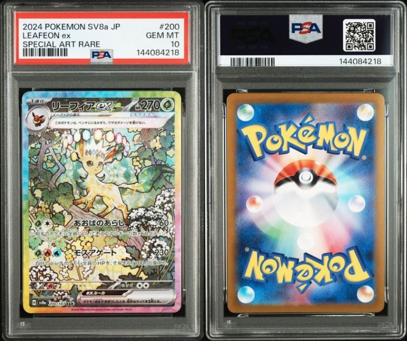 PSA10 ブイズSAR 10枚セット 200-224/187 SV8a テラスタルフェスex