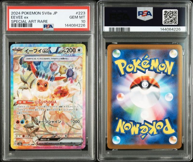 PSA10 ブイズSAR 10枚セット 200-224/187 SV8a テラスタルフェスex