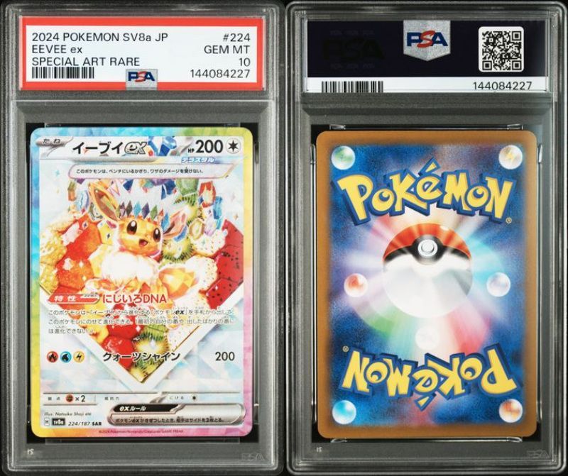 PSA10 ブイズSAR 10枚セット 200-224/187 SV8a テラスタルフェスex