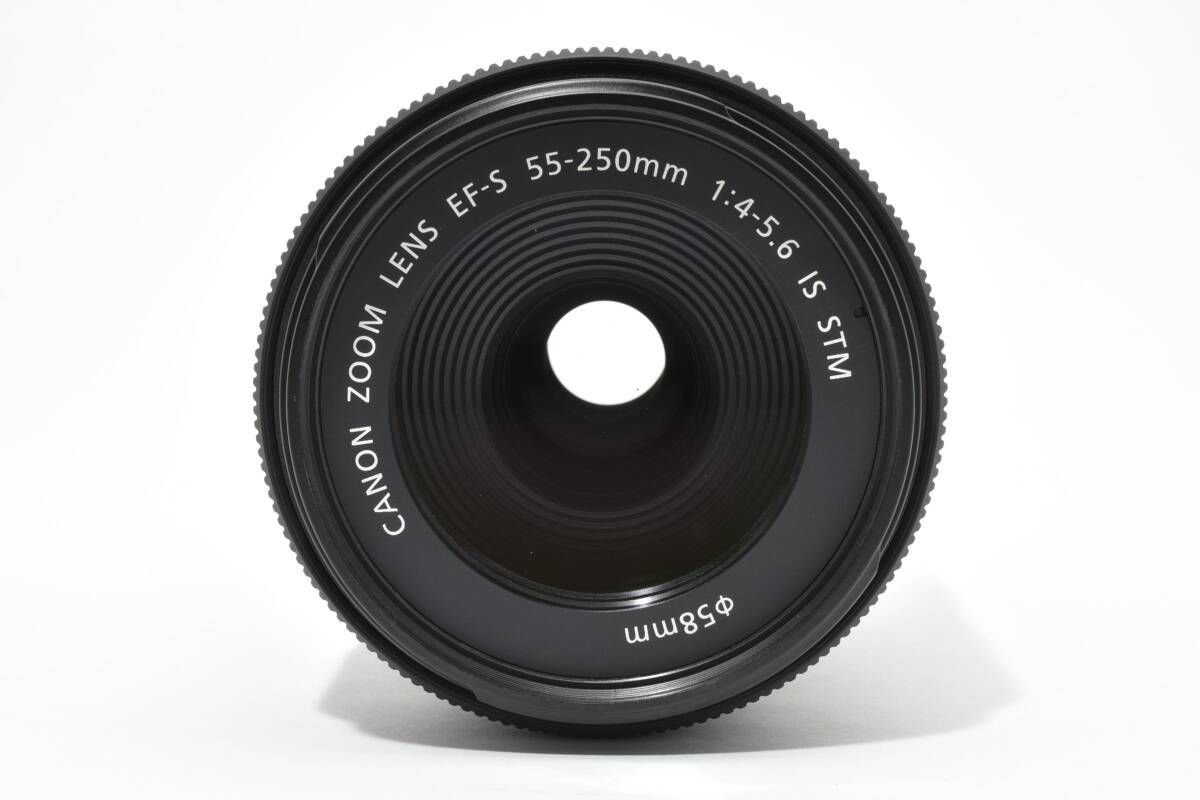 ☆美品☆キヤノン Canon EF-S 55-250mm F4-5.6 IS STM 《付属品多数