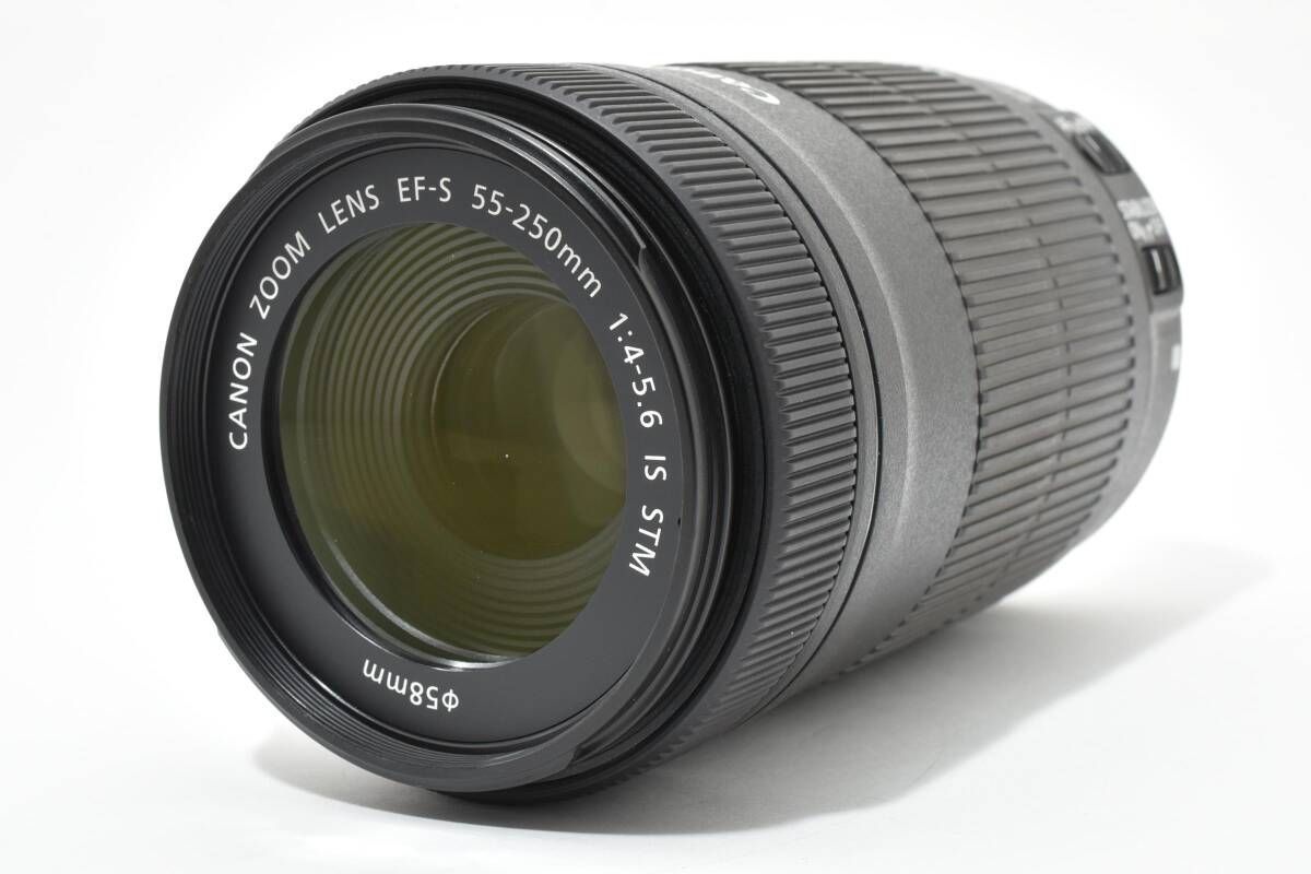 ☆美品☆キヤノン Canon EF-S 55-250mm F4-5.6 IS STM 《付属品多数