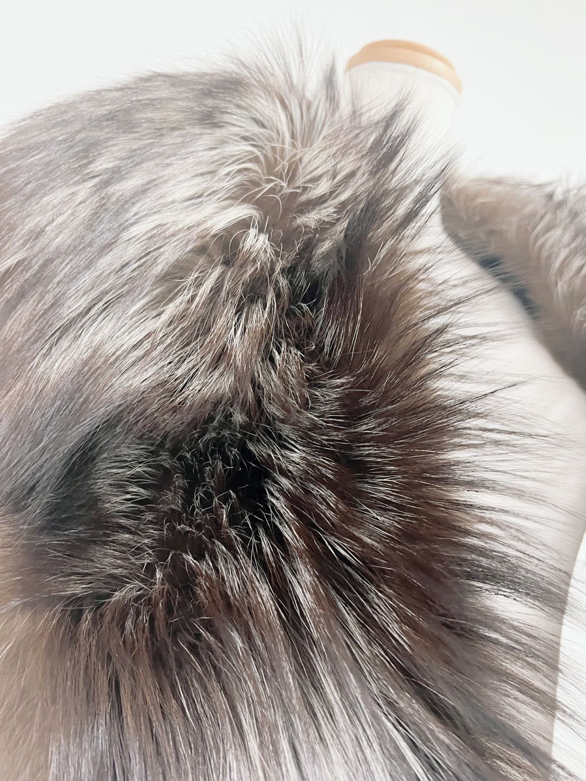 SAGA FOX サガフォックス ショール 銀狐 シルバーフォックス - メルカリ