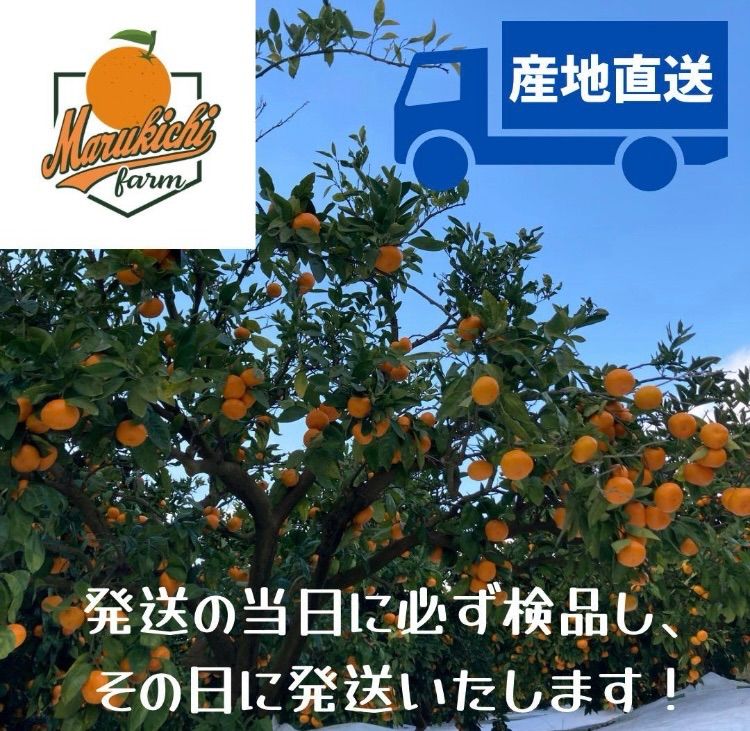 静岡県産【せとか】小玉サイズ 5キロ - メルカリ