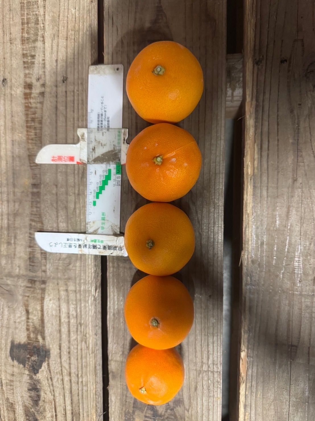 静岡県産【せとか】小玉サイズ 5キロ - メルカリ