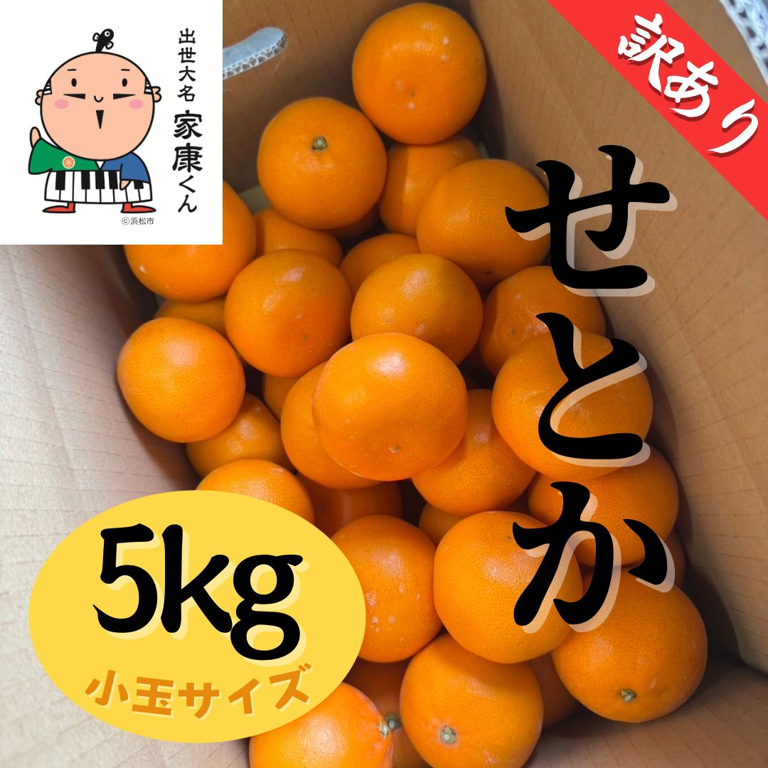 静岡県産【せとか】小玉サイズ 5キロ - メルカリ