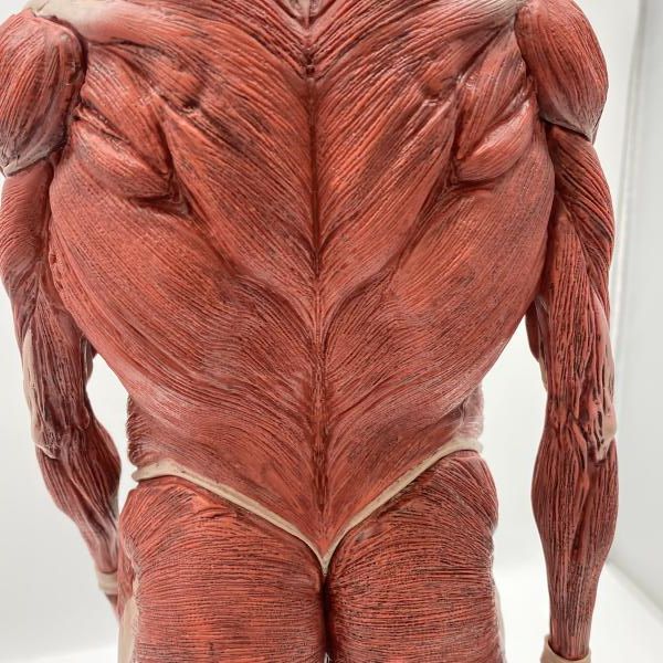 中古】開封）ラストワン賞 超大型巨人 MEGAIMPACT ｢一番くじ 進撃の