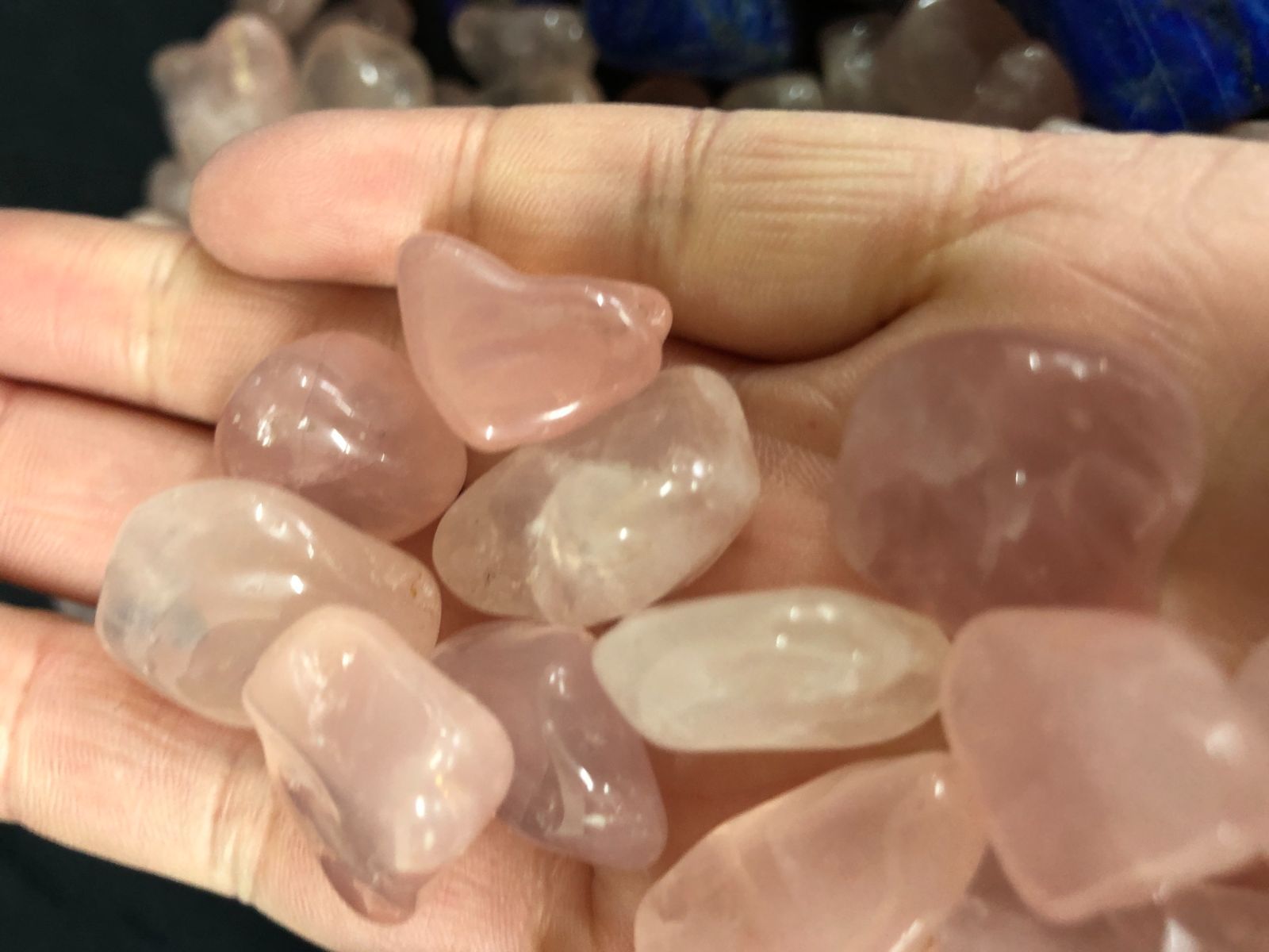 アフガニスタン産