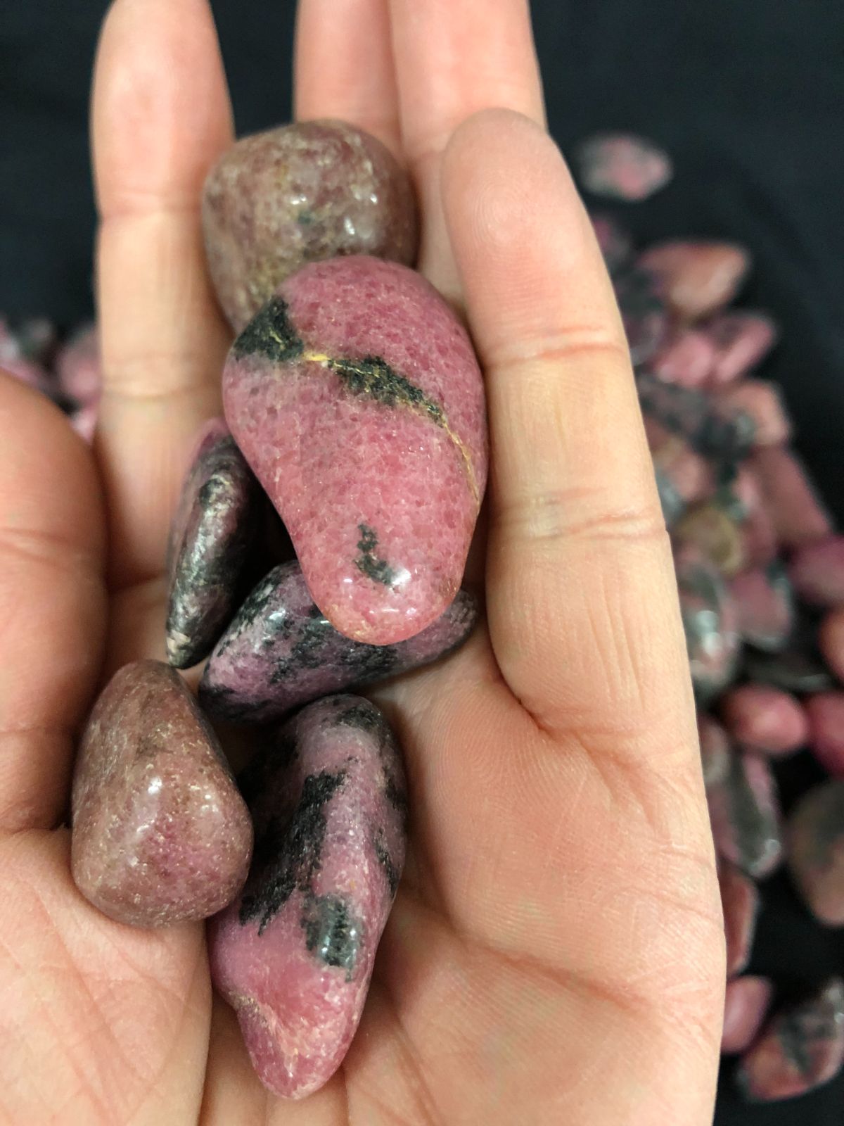 アフガニスタン産