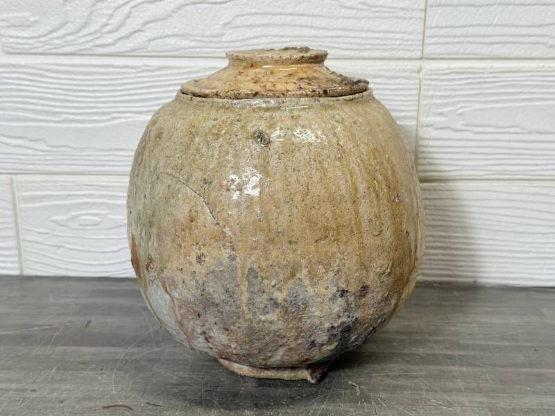 信楽焼 水指 芋頭 共箱付 茶道具 煎茶道具 伝統工芸 壺 置物 当時物