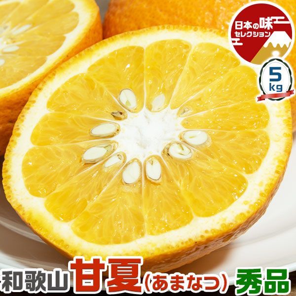 和歌山 あまなつ 甘夏 10kg 大玉 4Lサイズ限定 農園・生産者から出荷