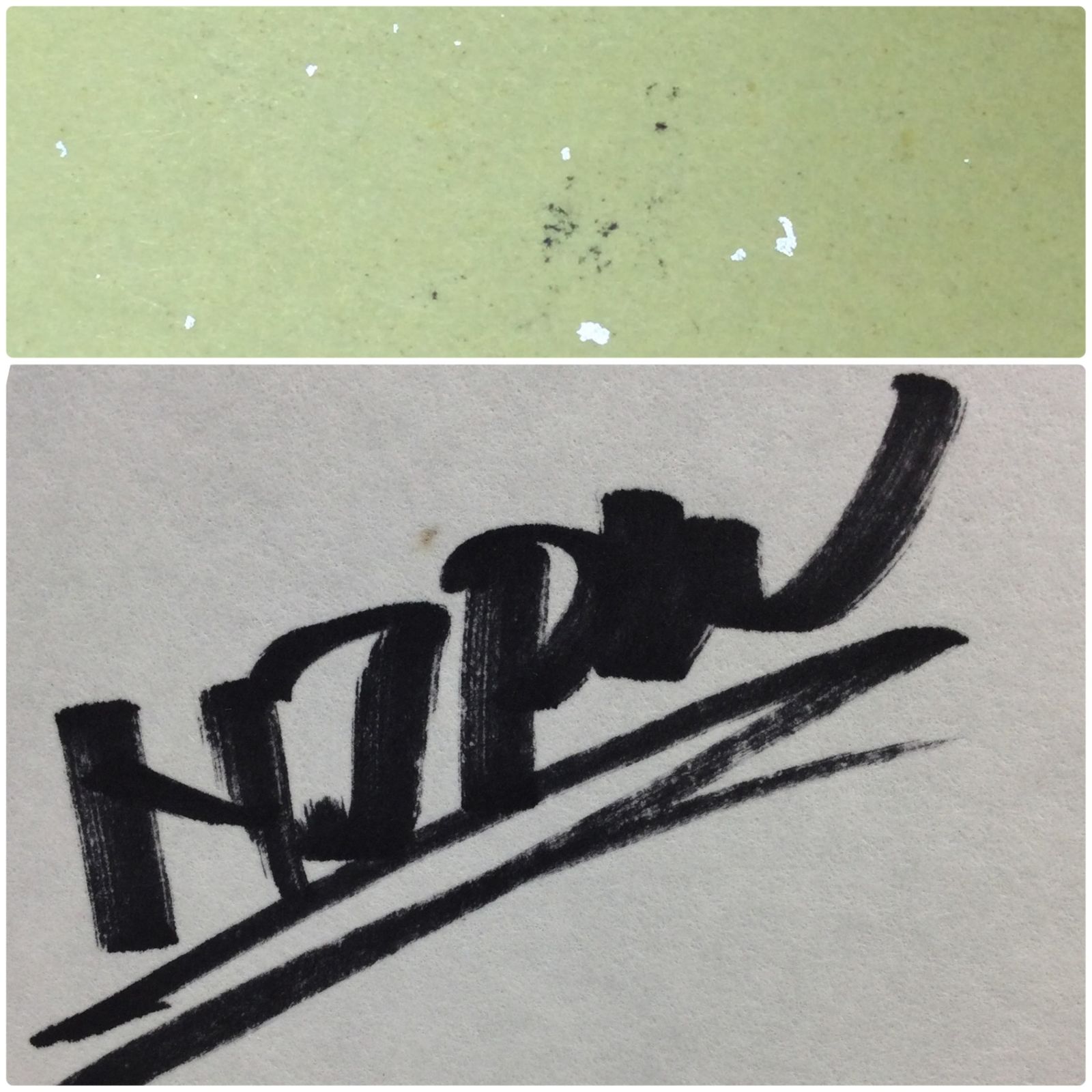 2241 【直筆サイン色紙】棚橋弘至 2019年3月9日 日付入り 写真付き 新