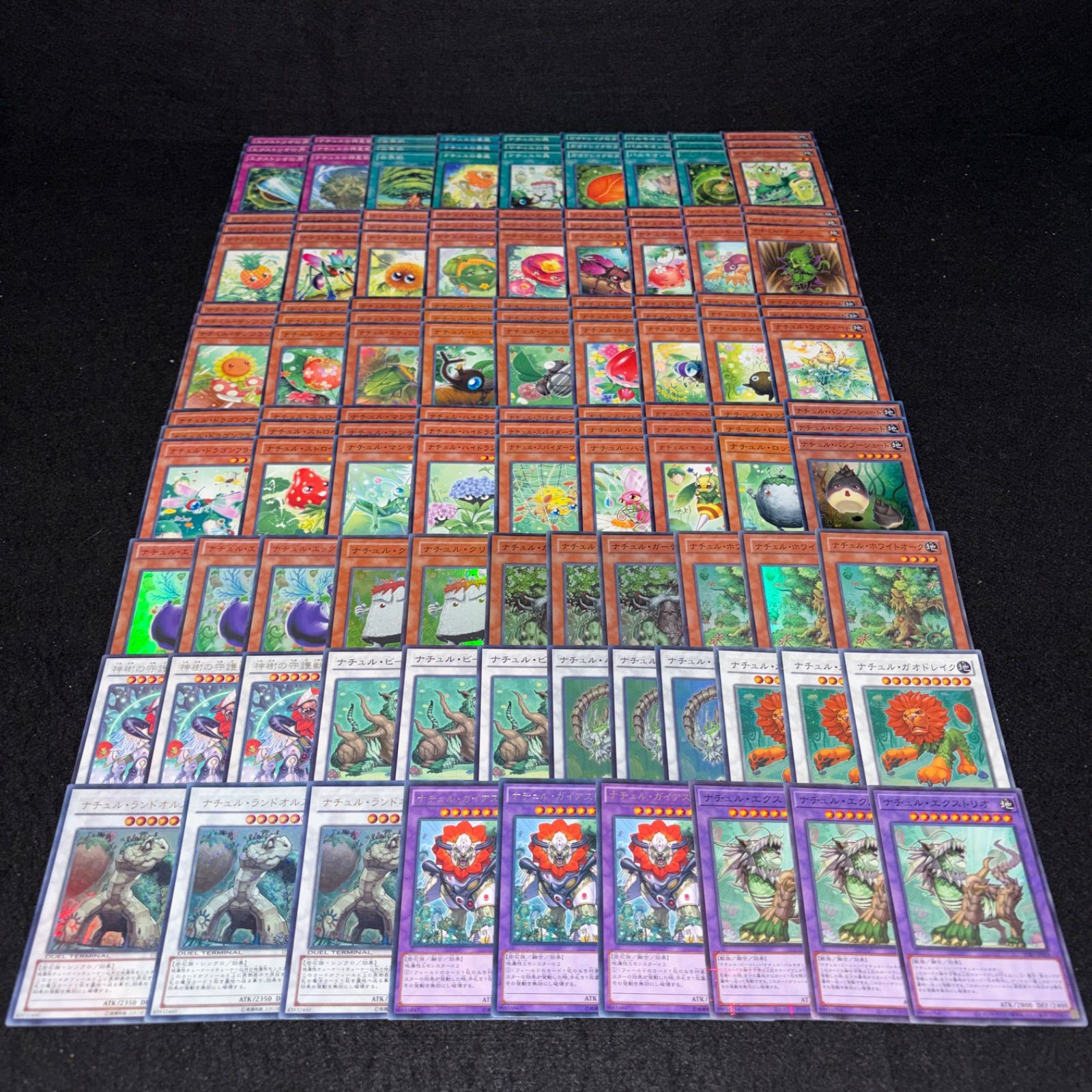 ナチュルハートページ No.PP396 遊戯王 ナチュル デッキパーツ DT/ターミナル ナチュル