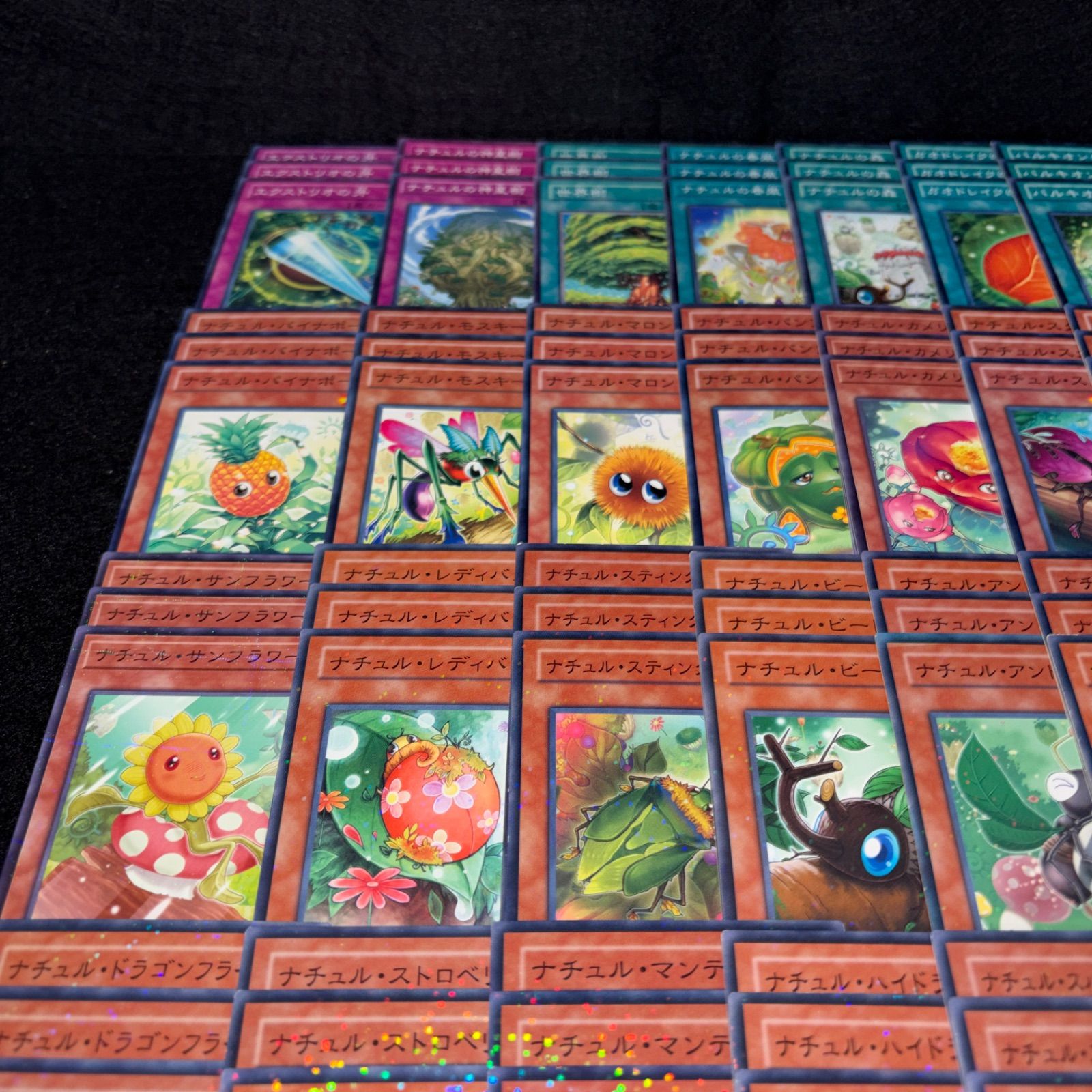 No.PP397 遊戯王 ナチュル デッキパーツ DT/ターミナル ナチュル