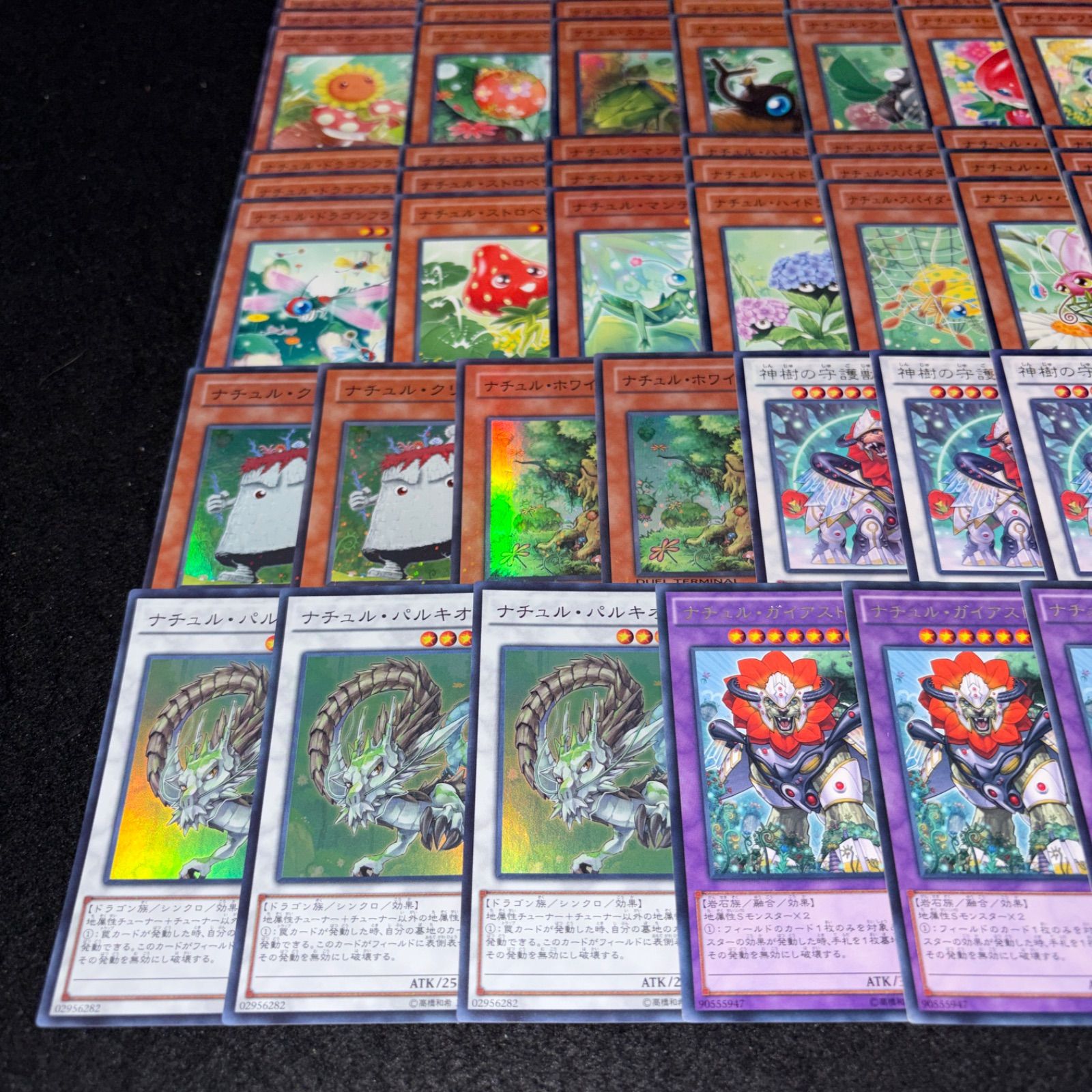 No.PP397 遊戯王 ナチュル デッキパーツ DT/ターミナル ナチュル