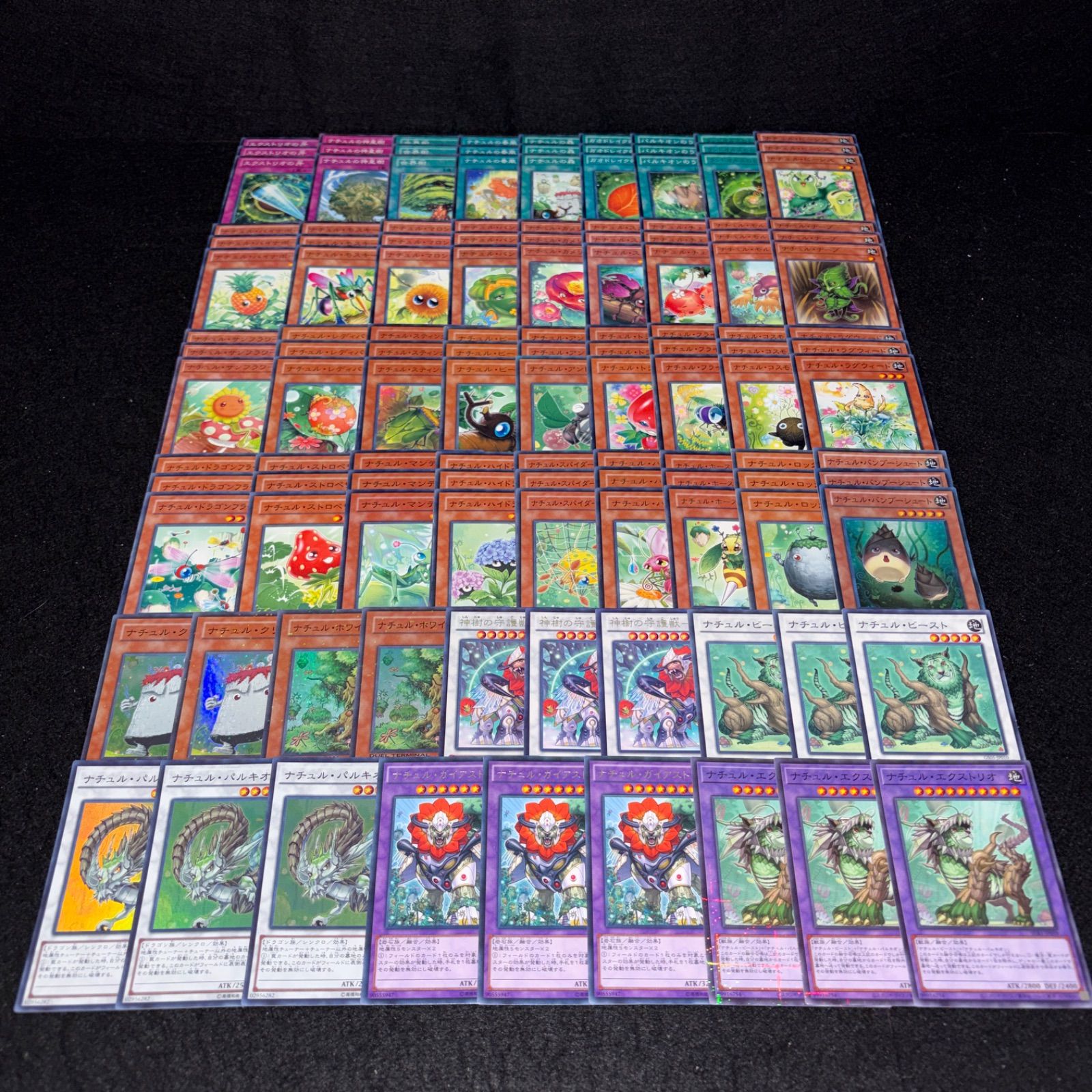 遊戯王 No.10320 大量 ナチュル DT ターミナル 型番 110枚 No.PP397 遊戯王 ナチュル デッキパーツ DT/ターミナル ナチュル