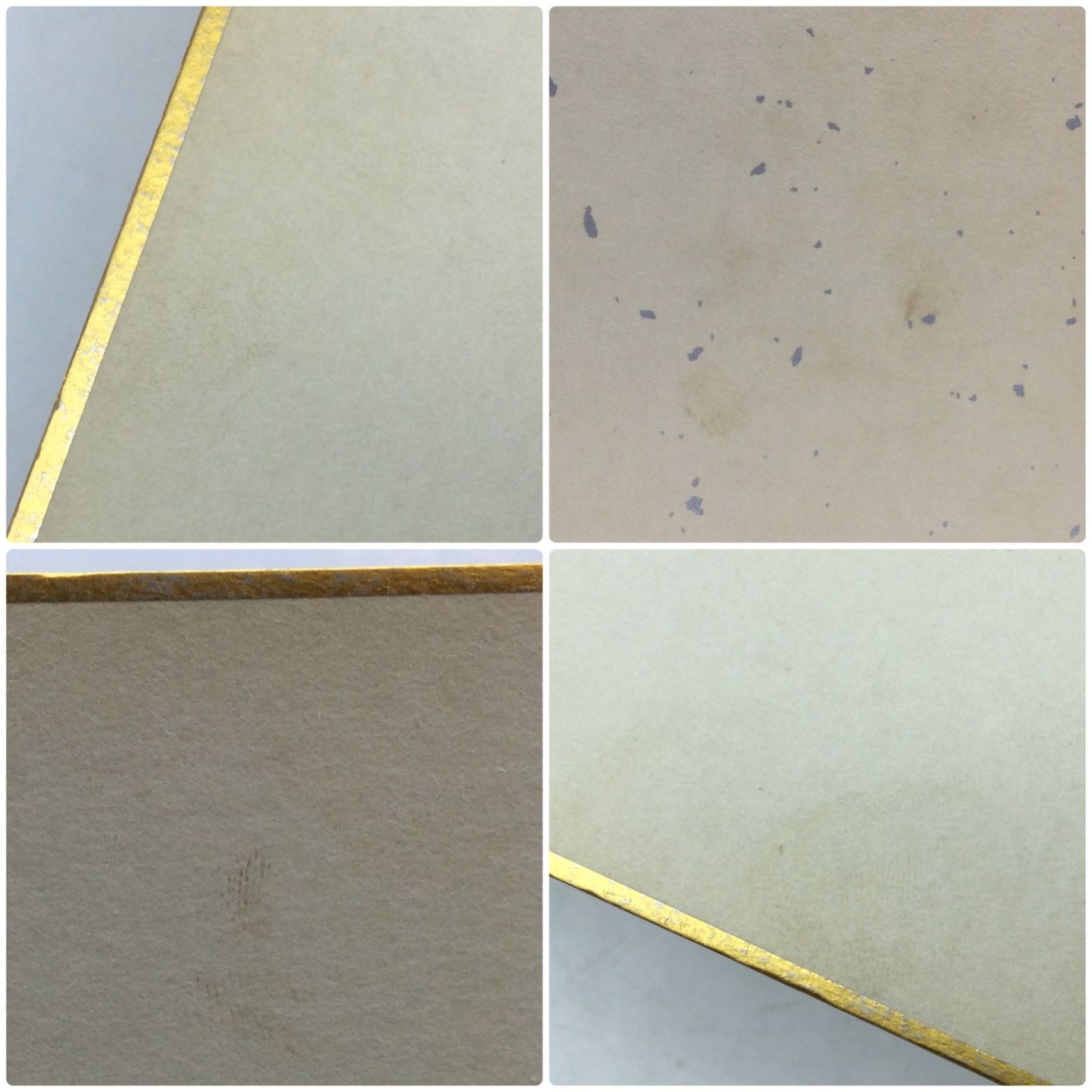 2248 【直筆サイン色紙】ストロング小林 STRONG KOBAYASHI 写真付き