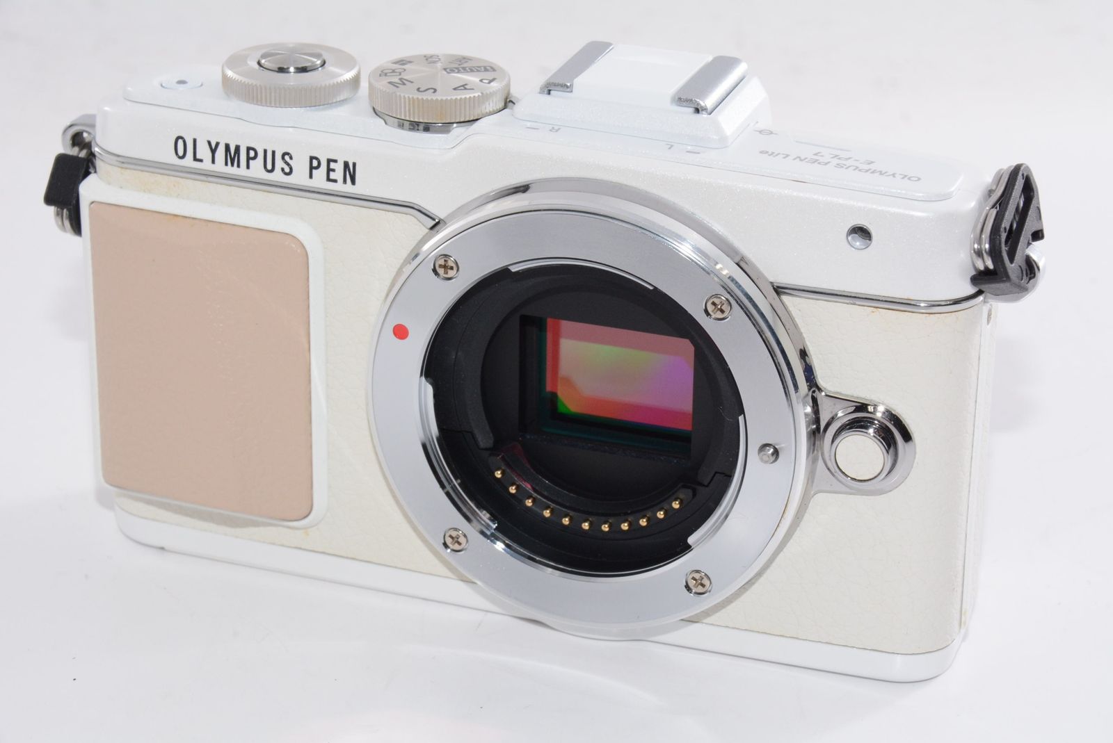 外観特上級】OLYMPUS PEN E-PL7 ホワイト ミラーレス一眼 - メルカリ