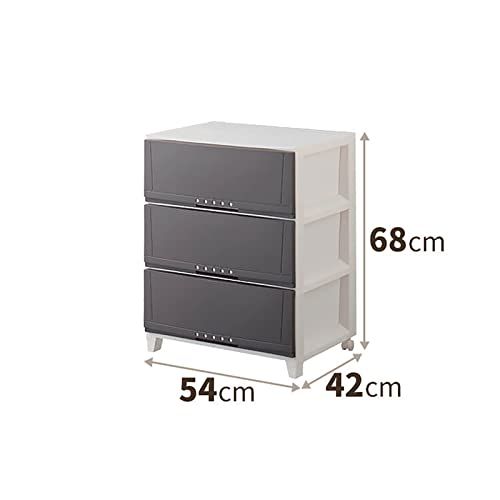 天馬(Tenma) シーンを選ばず使える収納チェスト 日本製 完成品 ルーム