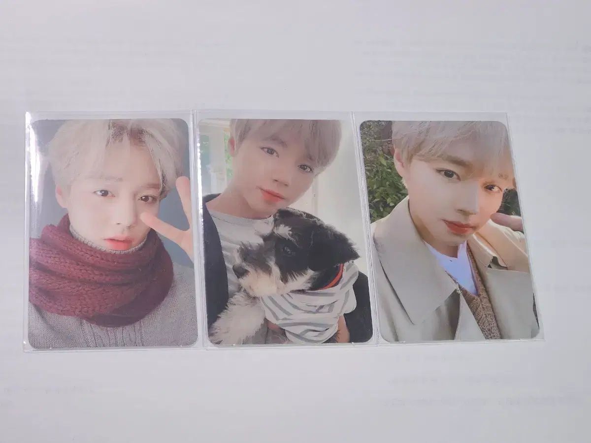 パク・ジフン(PARK JIHOON) 2020 シーグリ トレカ まとめ (ワナワン